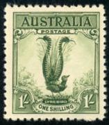 Click here for product details