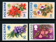 Click here for product details