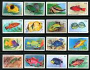 Click here for product details