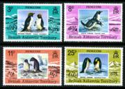 Click here for product details