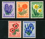 Click here for product details